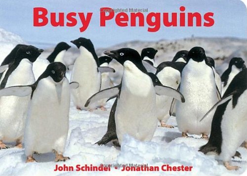 Busy Penguins by John Schindel and Jonathan Chester